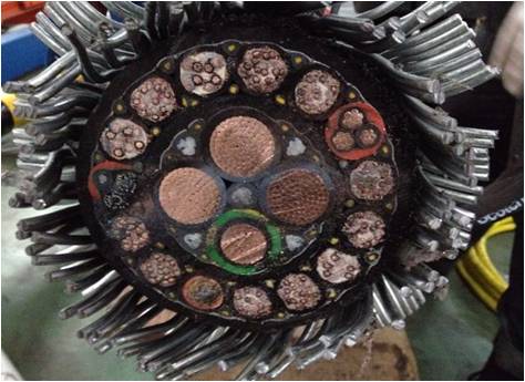 The bridle
              subsea cable cross section